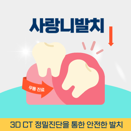부산치과 부산광역시 치과 사랑니 발치
